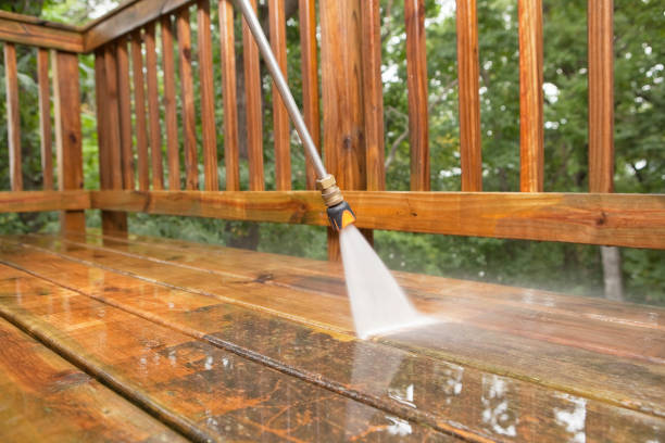 Best Sidewalk and Walkway Cleaning  in Pine City, MN